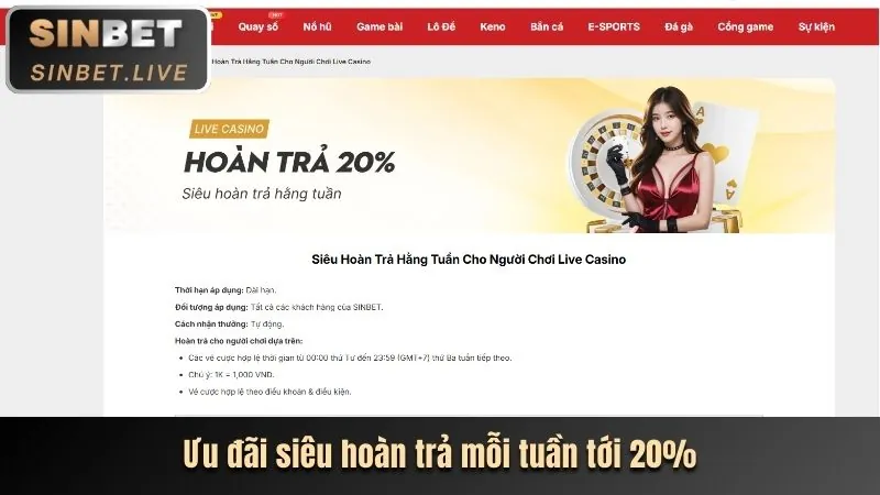 Hoàn trả casino New88
